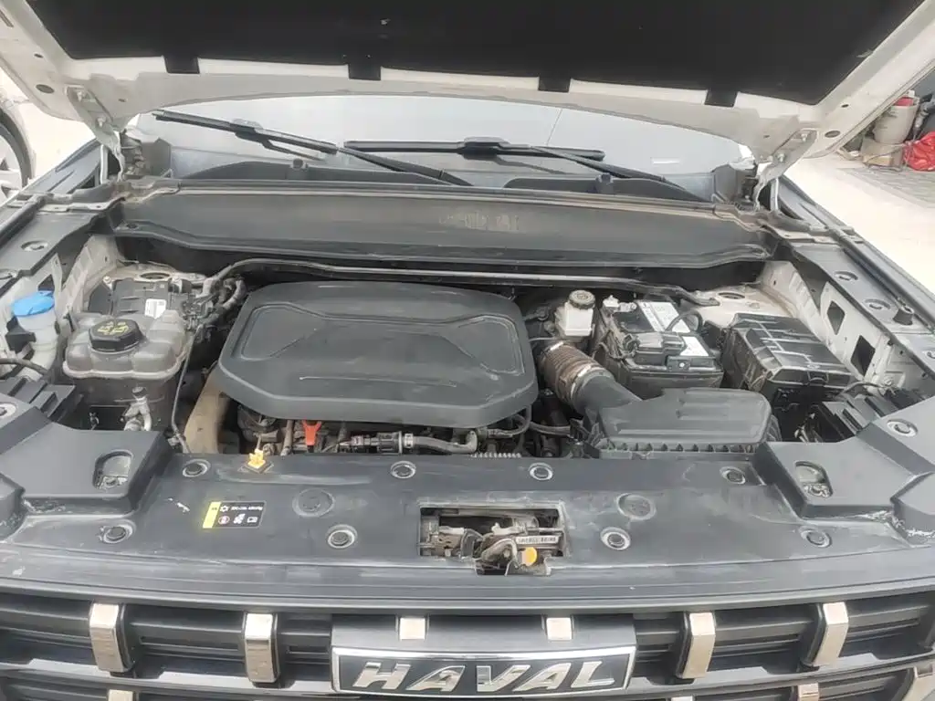Haval Cool Dog — миниатюра 20