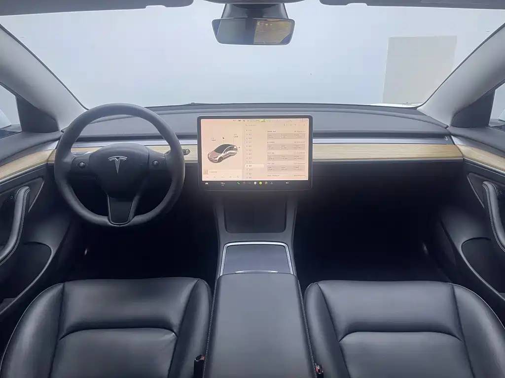 Tesla Model 3 — миниатюра 15