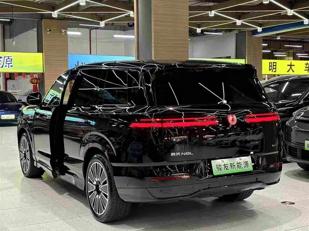 Denza Zoom N8L — миниатюра 12