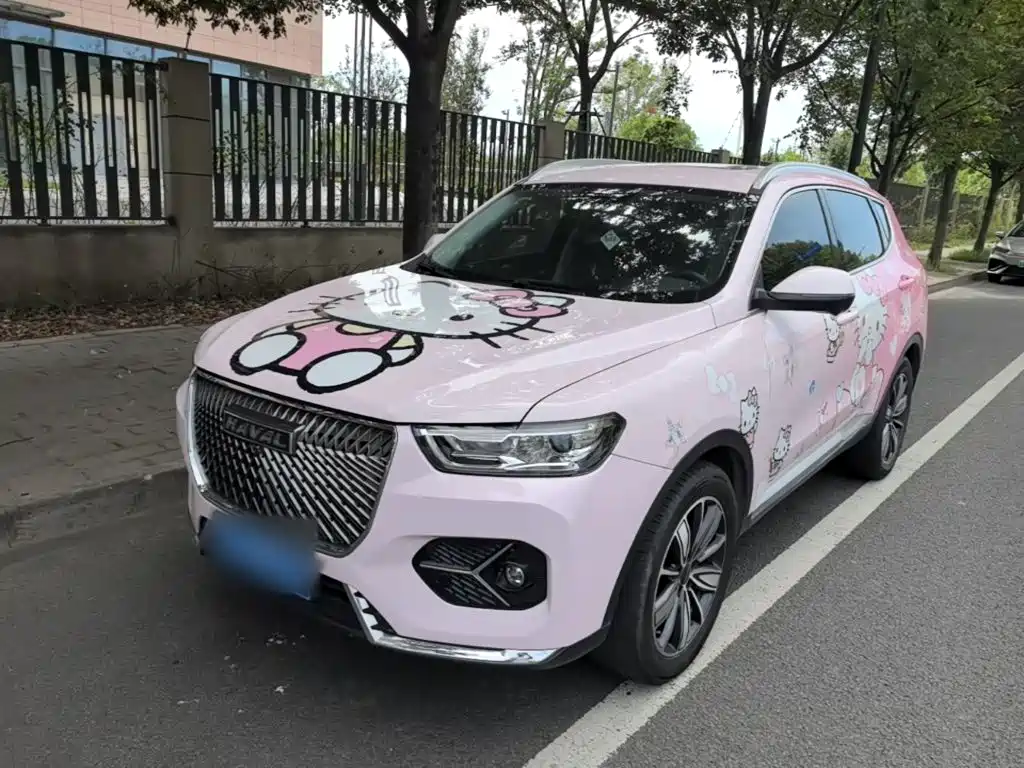 Haval H6 — миниатюра 2