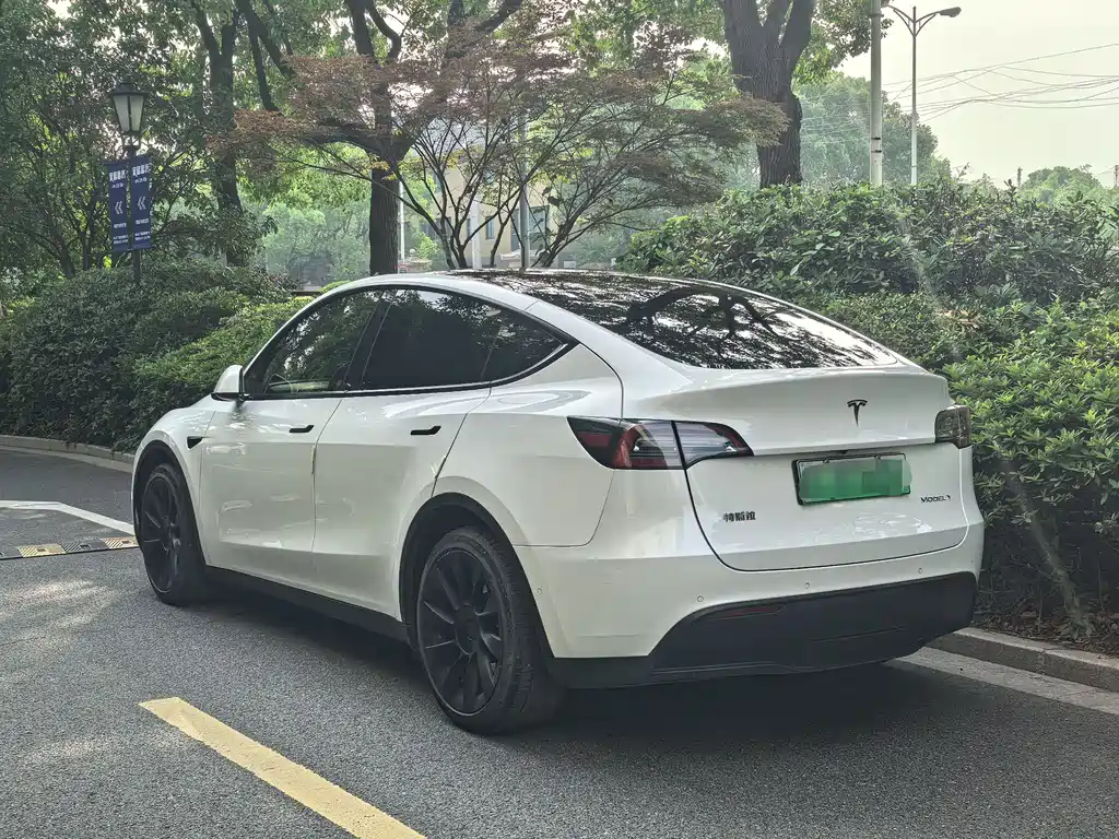 Tesla Model Y 2021 3D5