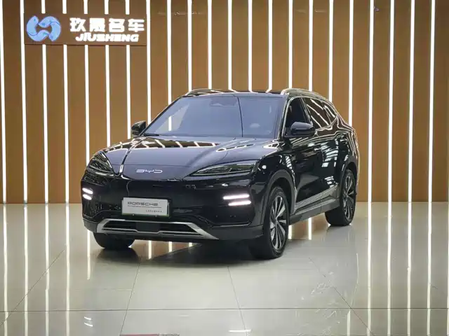 BYD SONGJIANG NEW ENERGY 2024