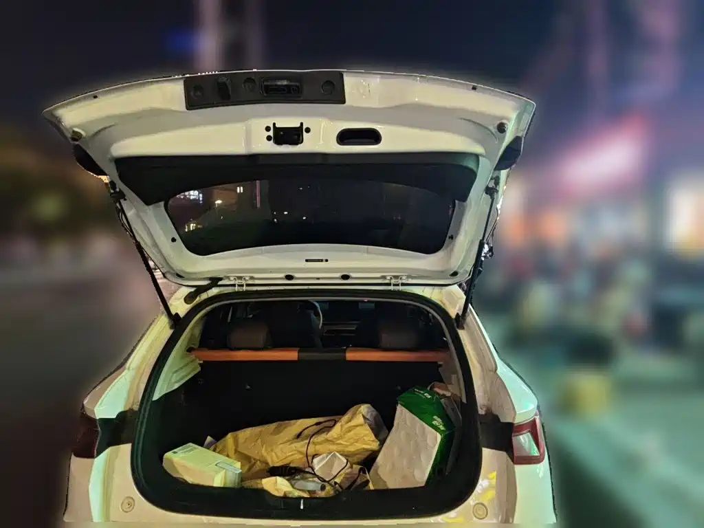 BYD e2 — миниатюра 20