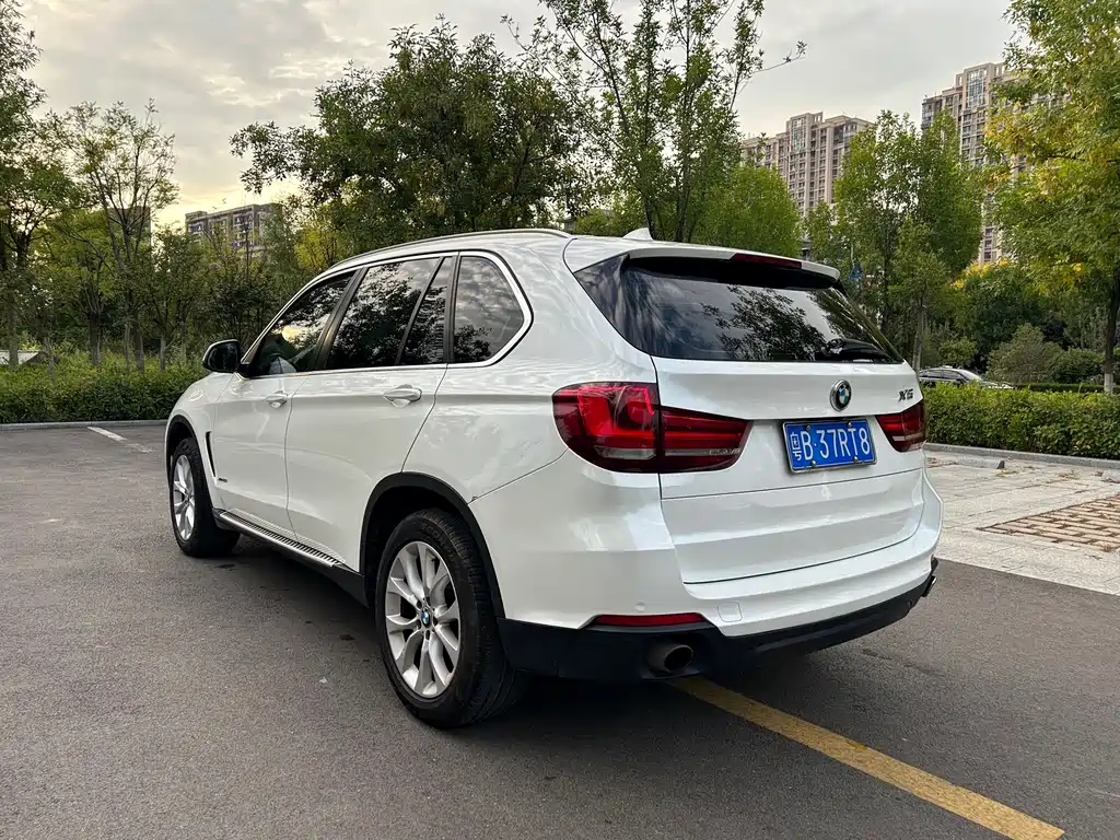 BMW X5 (Import) — миниатюра 5