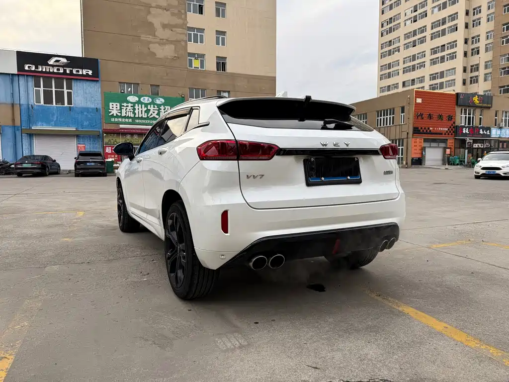 WEI PAI WEI BRAND VV7