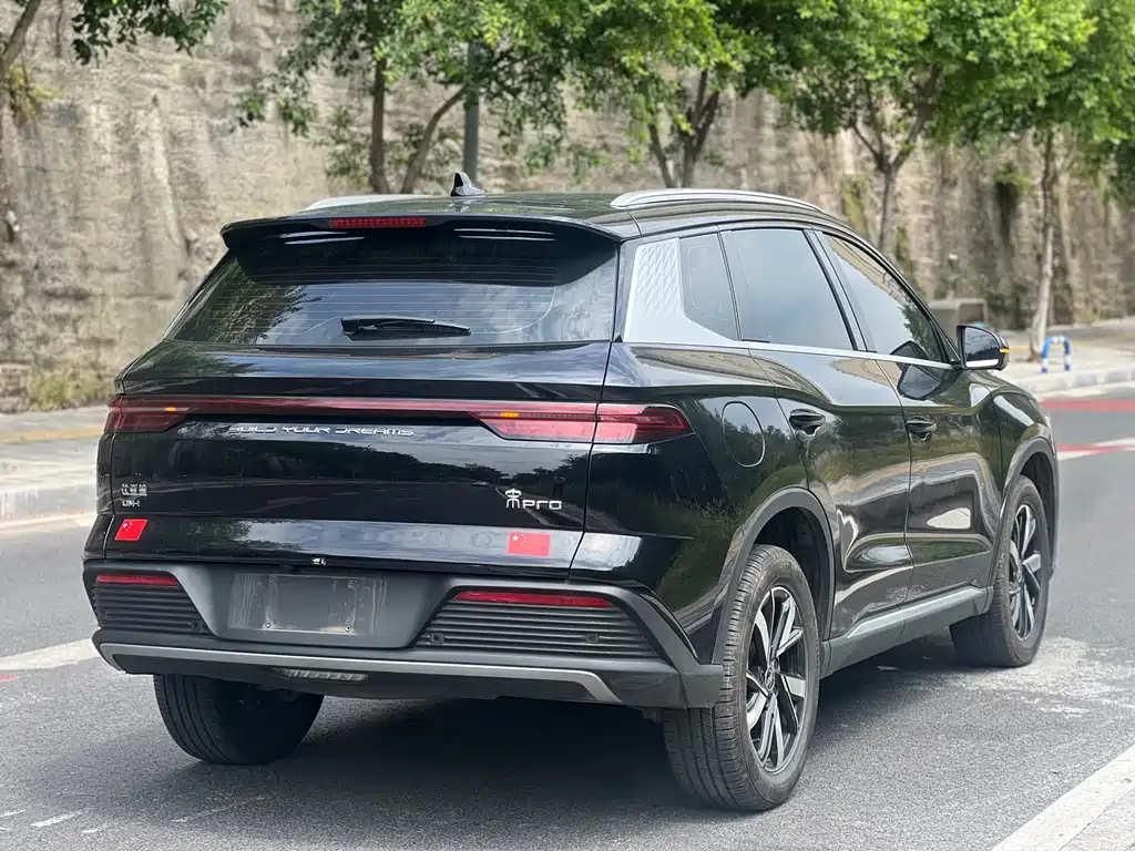 BYD Pro New Energy - фото 17