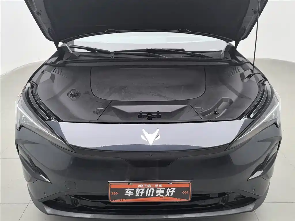 ARCFOX EXTREME FOX POLAR FOX ALPHA T5