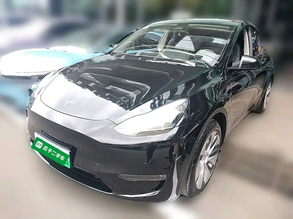 Tesla Model Y — миниатюра 3