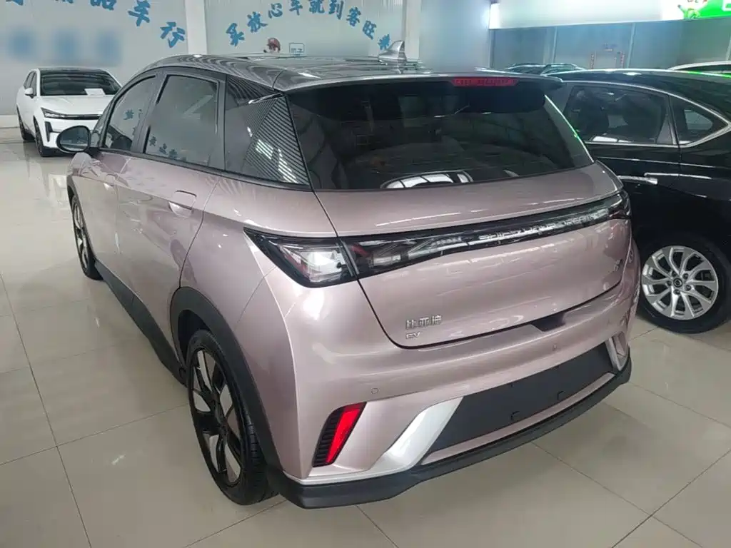 BYD Dolphin — миниатюра 5