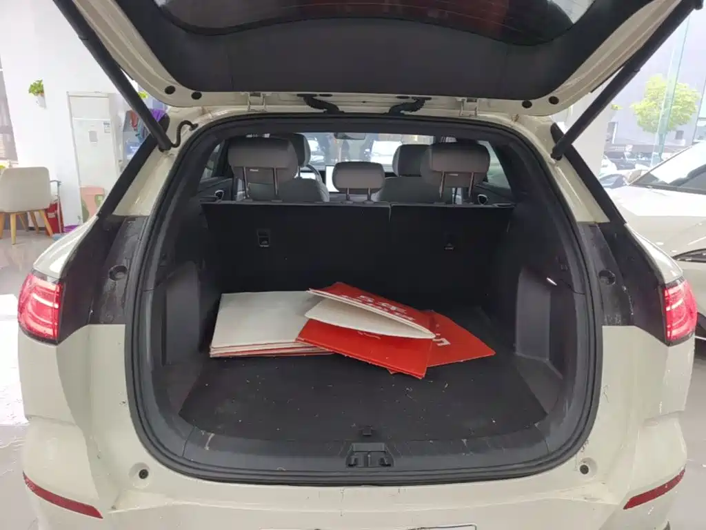 BYD Sealion 06 — миниатюра 19