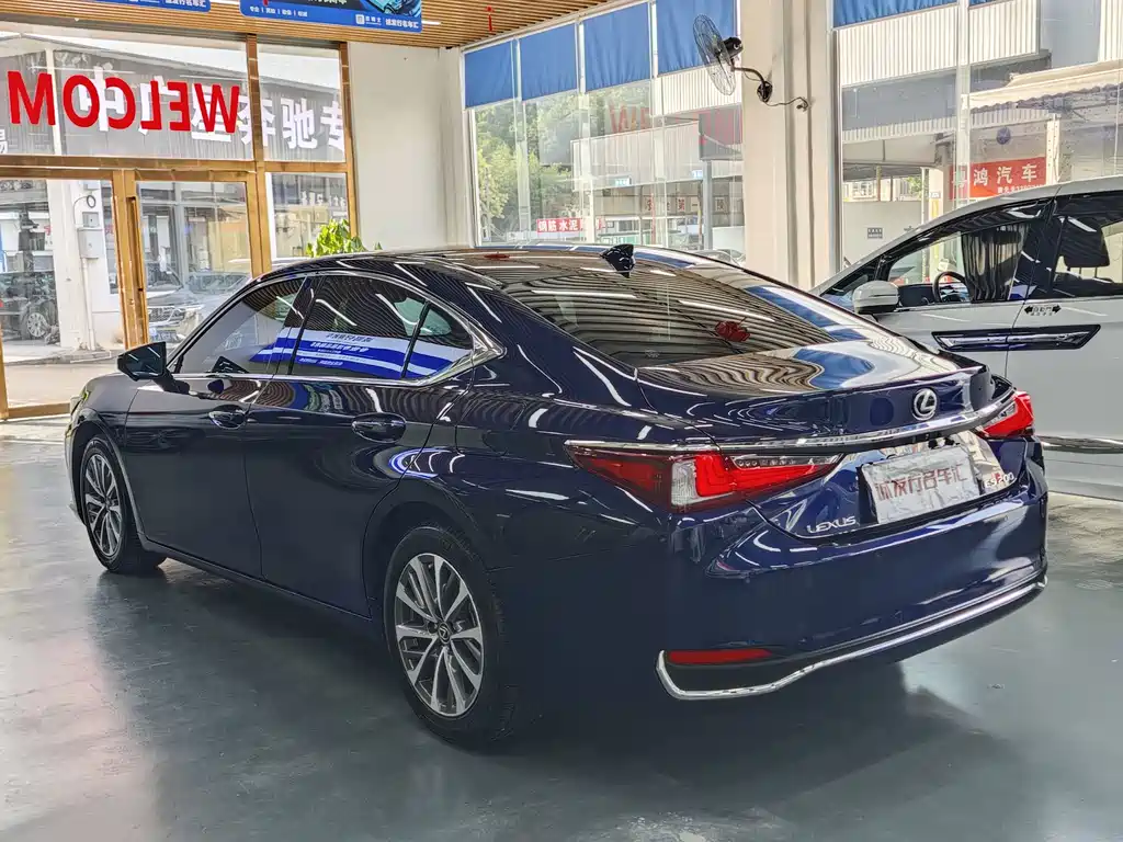 Lexus ES 200 Excellence Edition, фото 18
