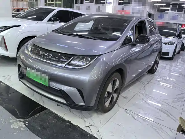2023 BYD Dolphin