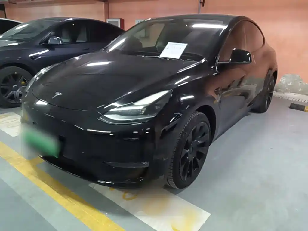 Tesla Model Y — миниатюра 2