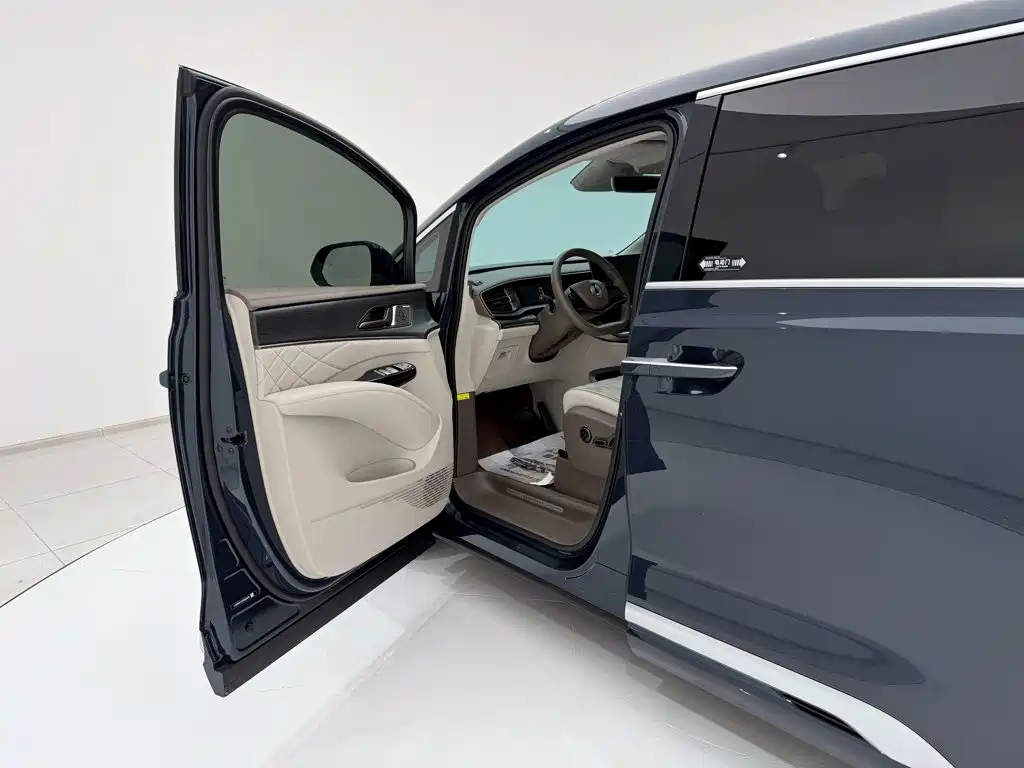 Denza Denza D9 — миниатюра 24