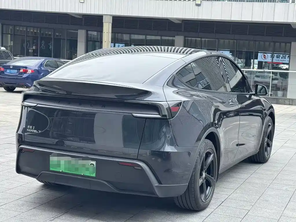 Tesla Model Y — миниатюра 6