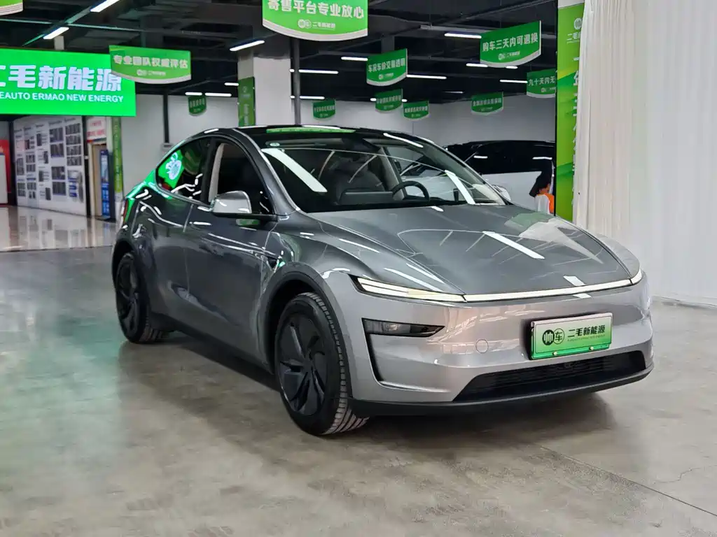 Tesla Model Y — миниатюра 3