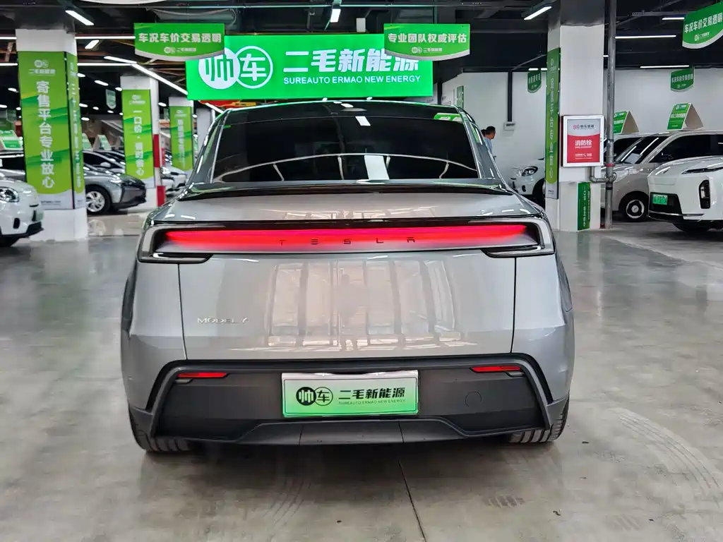 Tesla Model Y — миниатюра 6