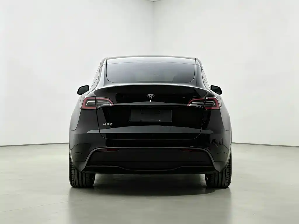 Tesla Model Y — миниатюра 9