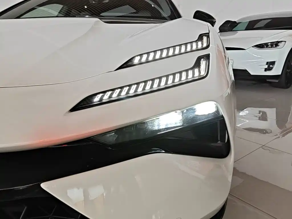 Lotus EMEYA — миниатюра 24