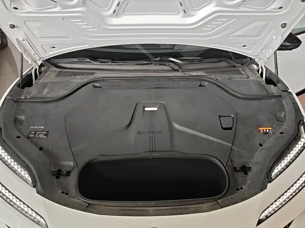 Lotus EMEYA — миниатюра 20