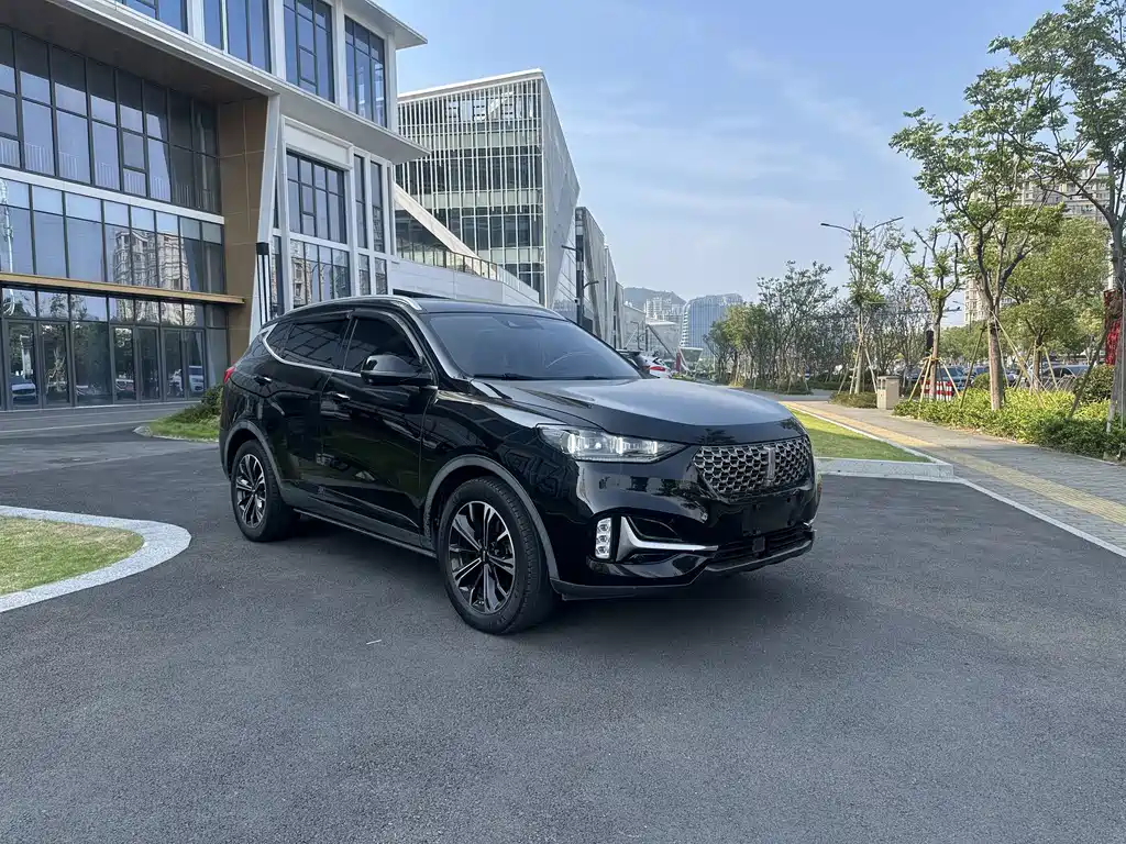 Wey Wey VV6 — миниатюра 2