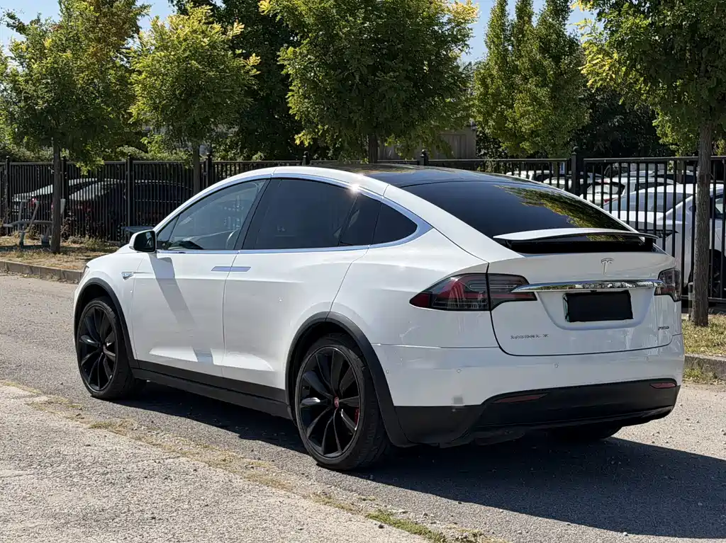 Tesla Model X — миниатюра 6