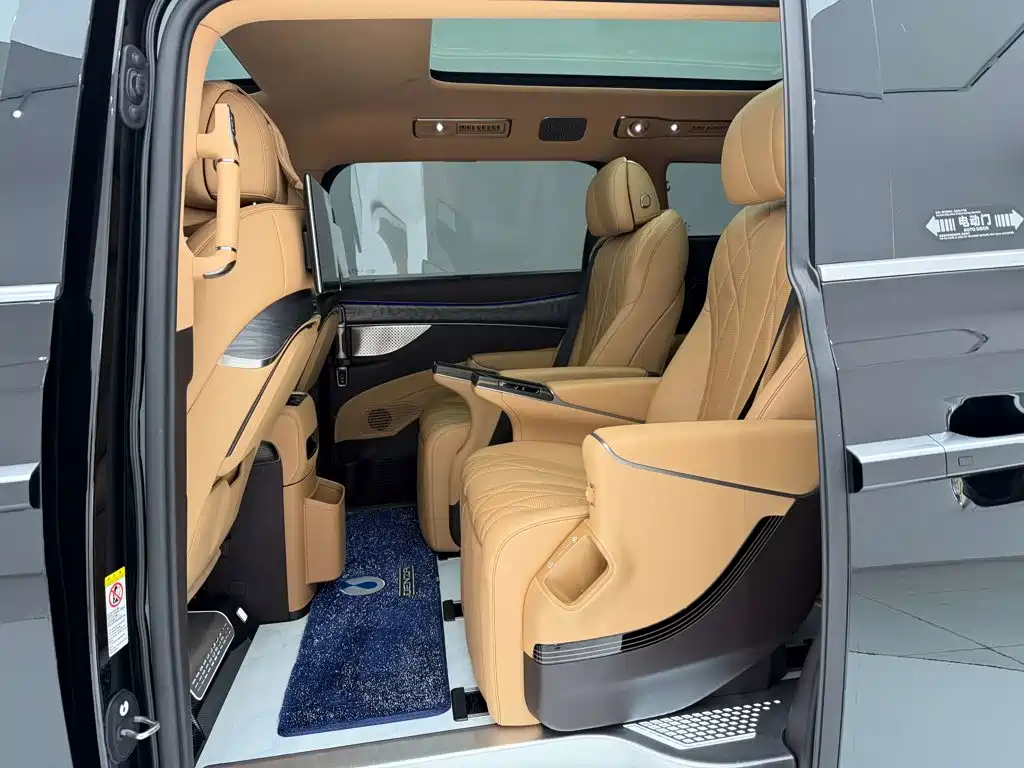 Denza Denza D9 — миниатюра 19