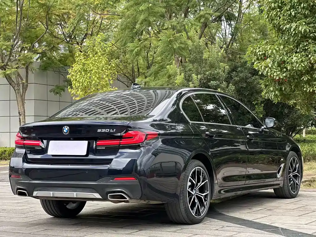 BMW 5 Series — миниатюра 4