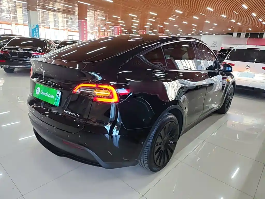 Tesla Model Y — миниатюра 7