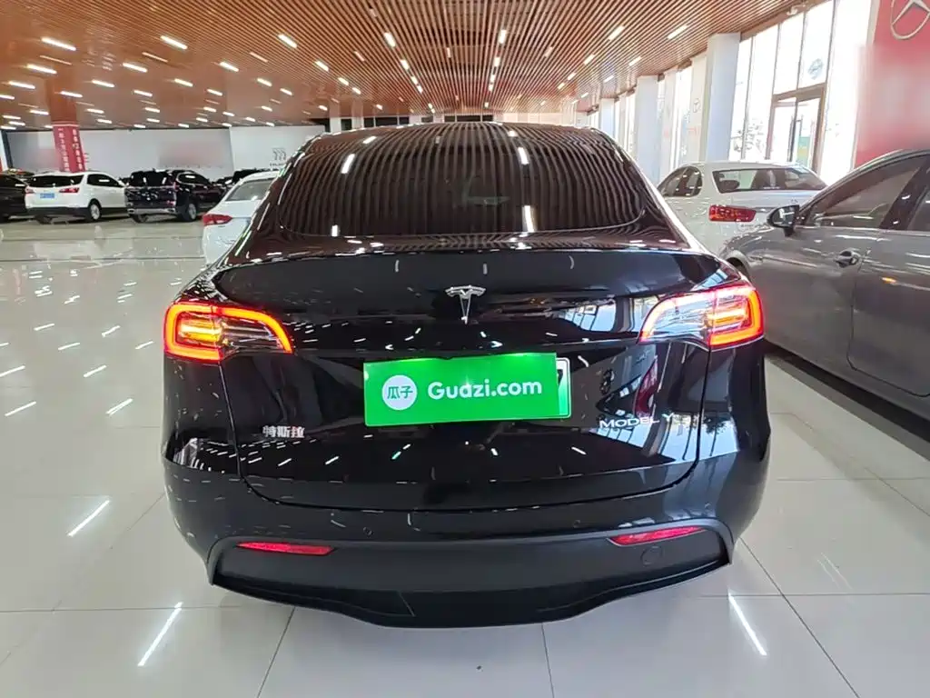 Tesla Model Y — миниатюра 6
