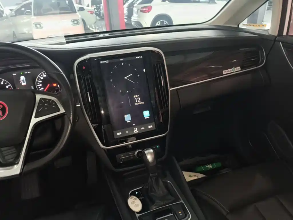 BYD MAX — миниатюра 13