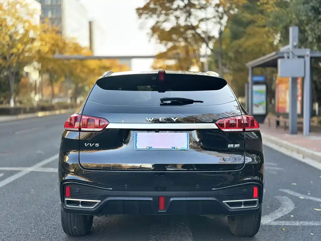 WEI PAI WEI BRAND VV5