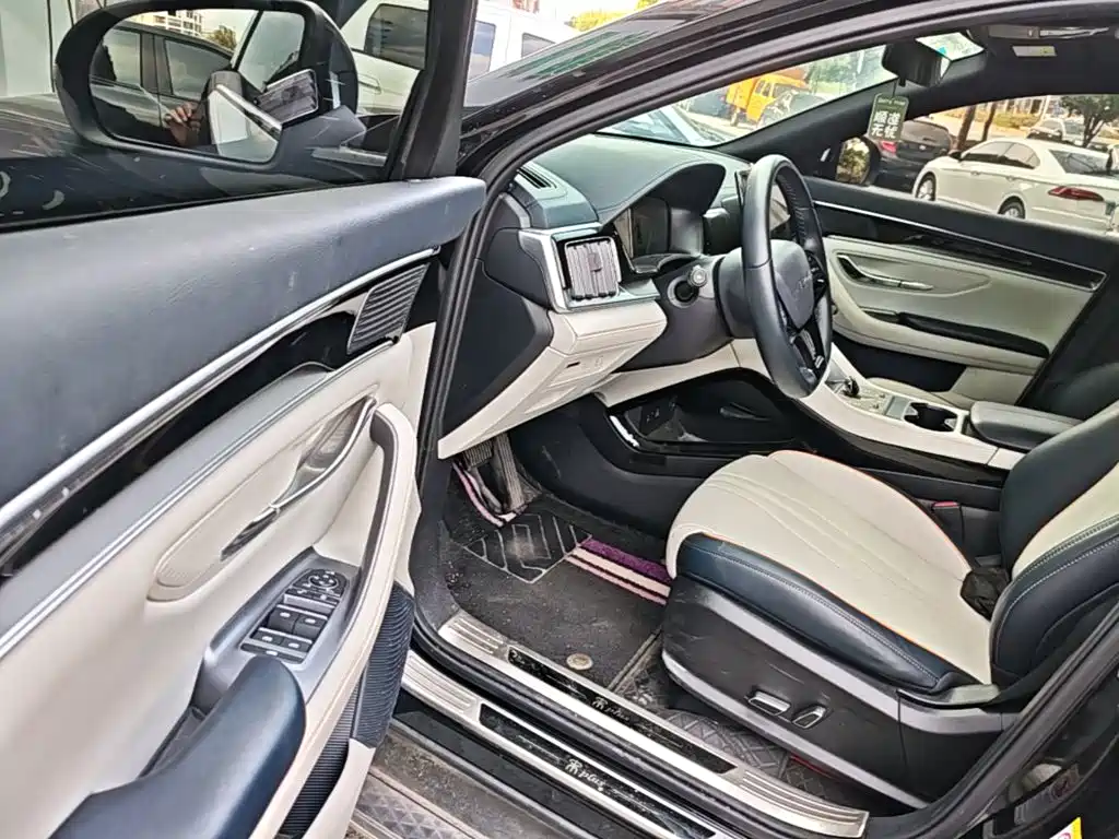 BYD PLUS New Energy — миниатюра 16