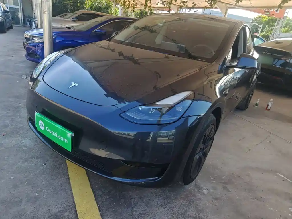 Tesla Model Y — миниатюра 2