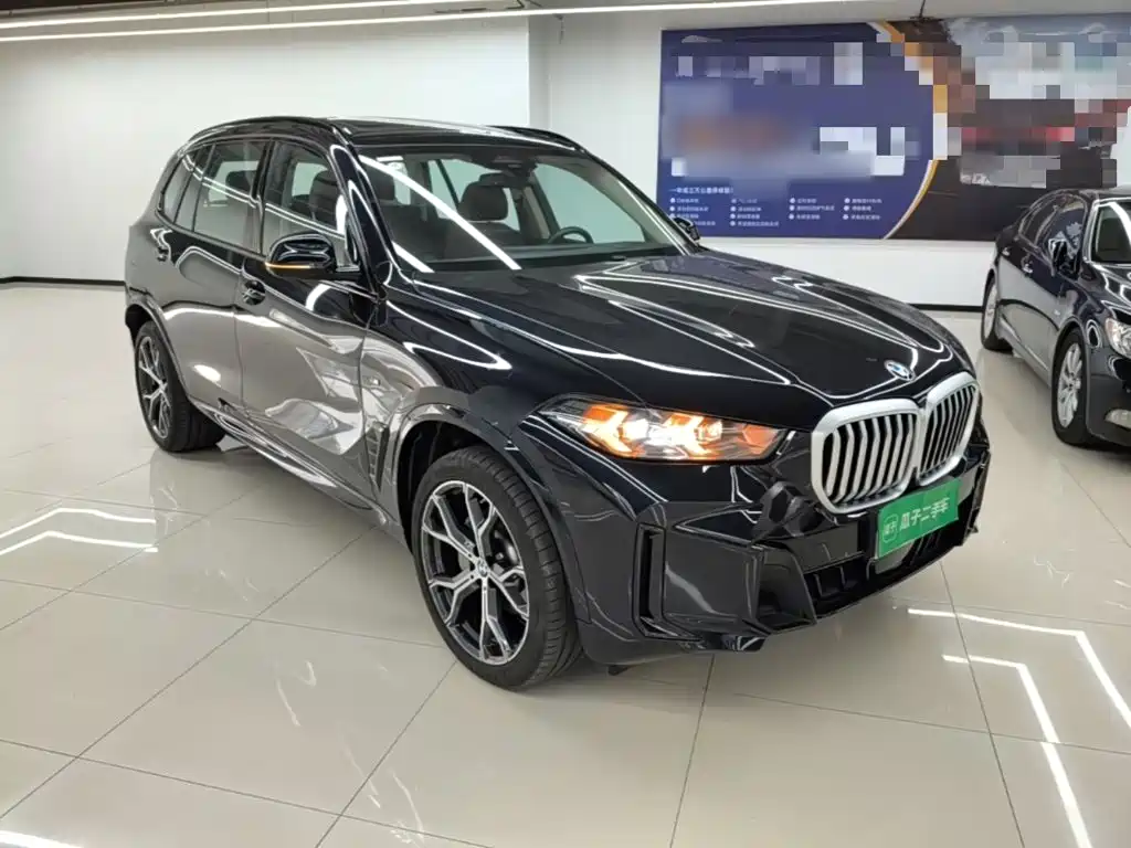 BMW X5 — миниатюра 4
