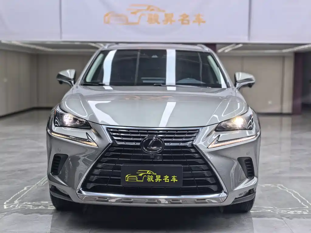 Lexus NX — миниатюра 2
