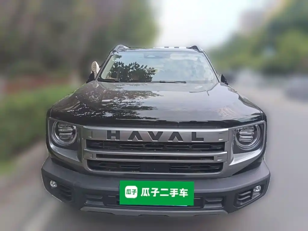 Haval Big Dog — миниатюра 23