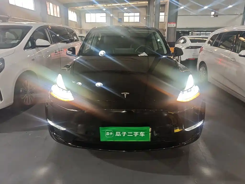 Tesla Model Y — миниатюра 3