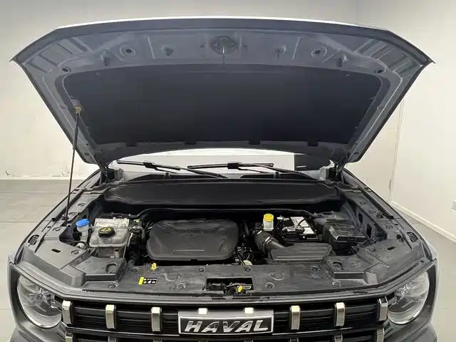 Haval Cool Dog — миниатюра 15