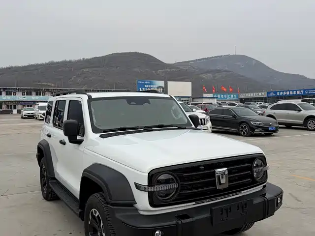 TANK TANK 300 NEW ENERGY 2025