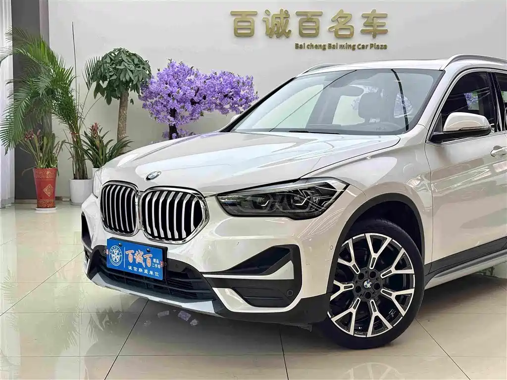 BMW X1 — миниатюра 2