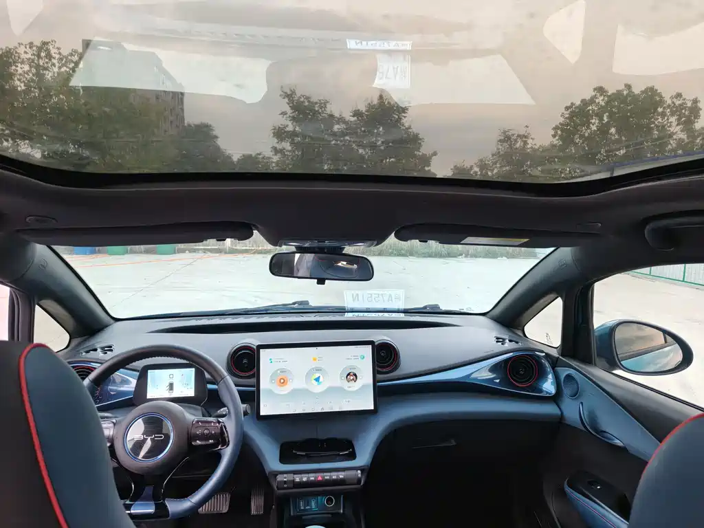 BYD Dolphin — миниатюра 14
