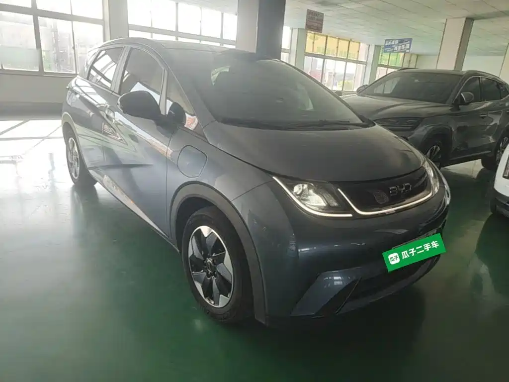 BYD Dolphin — миниатюра 4