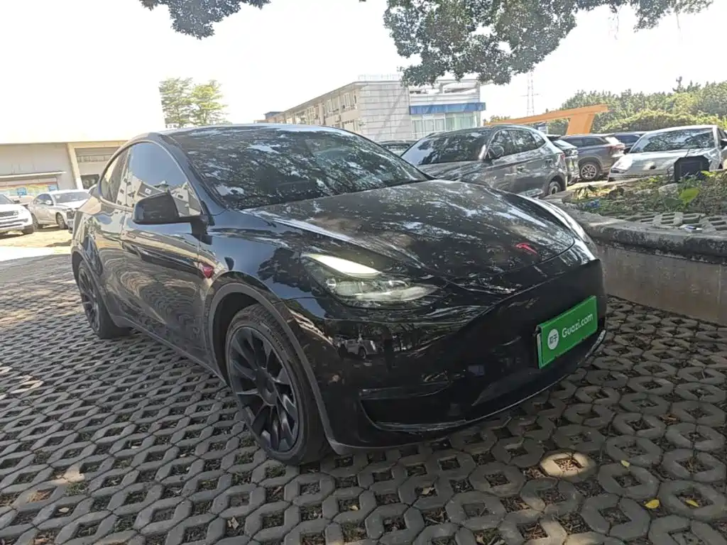 Tesla Model Y — миниатюра 4