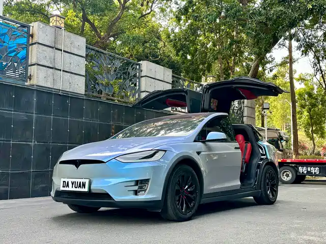 TESLA MODEL X 2019