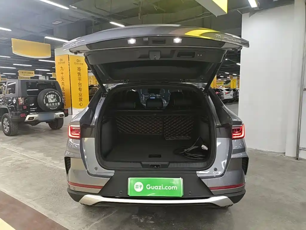 BYD PLUS New Energy — миниатюра 19