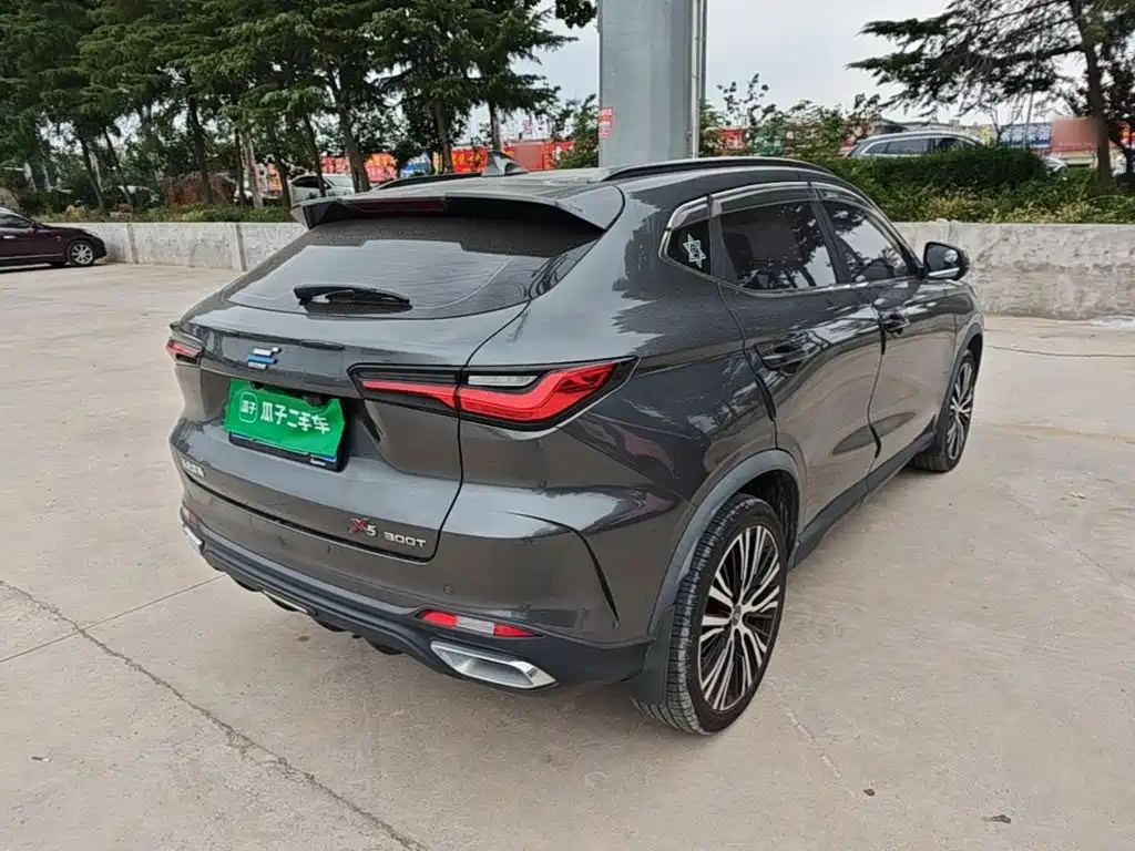 Oshan Oushang X5 — миниатюра 7