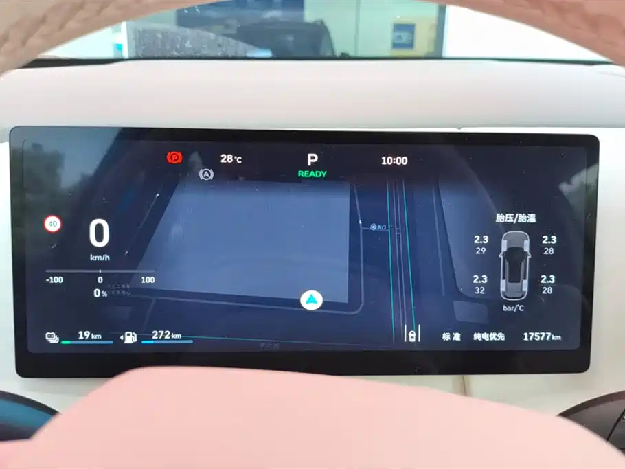 WEI PAI WEI BRAND BLUE MOUNTAIN