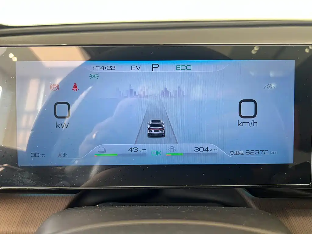 BYD Pro New Energy — миниатюра 4