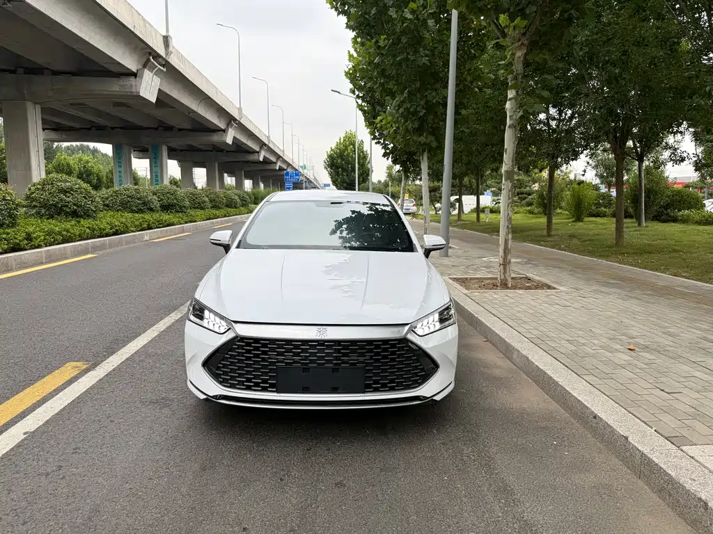 BYD Qin PLUS — миниатюра 2